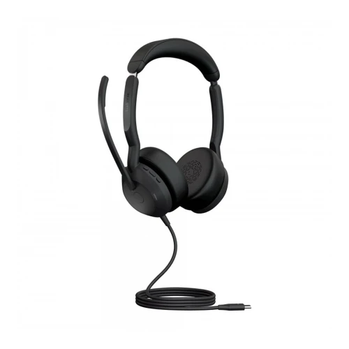 Jabra Evolve2 50 USB-C MS Stereo